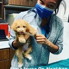 Alameda Animal Hospital